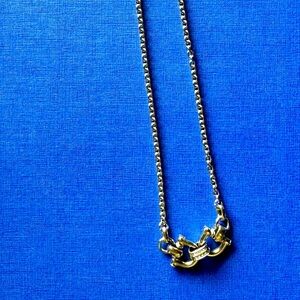 Stainless Steel Fossil Necklace